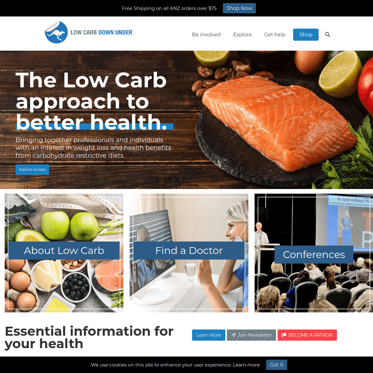 Low Carb Down Under website preview